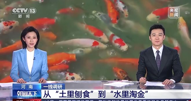 m88官网